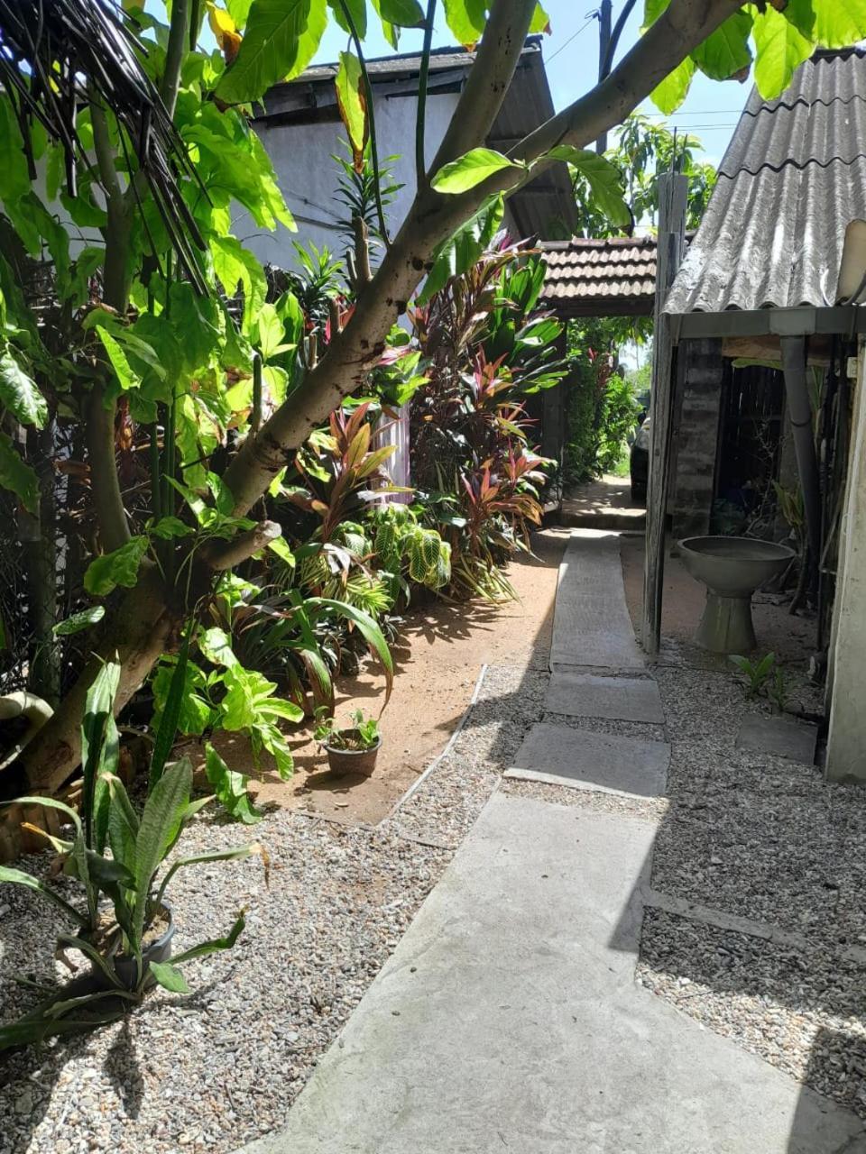 Brother'S Beach Home Bussa Esterno foto